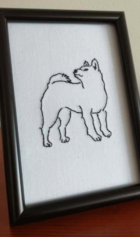 Simple black line drawing of a fluffy dog with pointed ears in a black frame on display